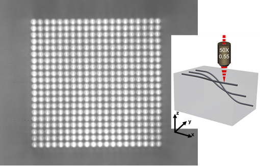 激光直寫(xiě)光波導(dǎo)陣列(Light Sci. Appl. 13,